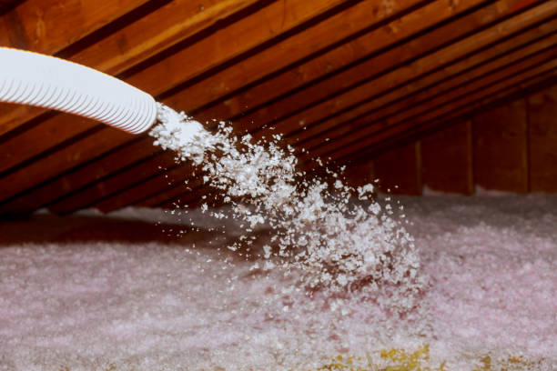 Best Residential Insulation in Long Beach, MS