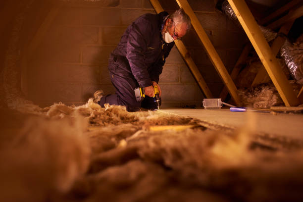 Best Insulation Installation Services in Long Beach, MS